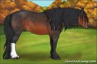 Horse Color:Brown 