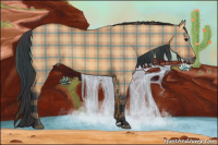 Horse Color:Plaid Bay Dun Rabicano