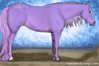 Horse Color:Watercolor Palomino Sabino 