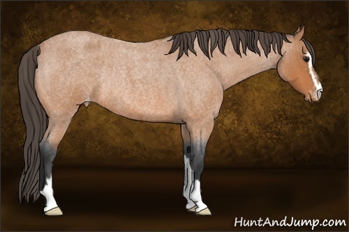 Horse Color:Bay Roan Sabino Varnish Rabicano 