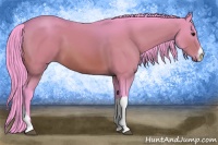 Horse Color:Watercolor Bay 
