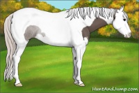 Horse Color:Silver Black Sabino Splash Tobiano 