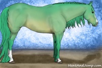 Horse Color:Watercolor Bay Sabino 