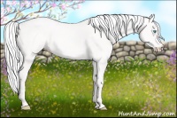 Horse Color:Silver Perlino Roan 
