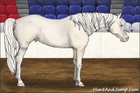 Horse Color:Gold Cream Champagne Pearl 