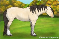 Horse Color:Buckskin Ice Dun Sabino