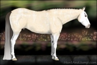 Horse Color:Buckskin Ice Roan Dun Splash