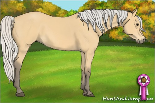 Horse Color: Silver Buckskin 