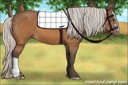 Horse Color:Silver Brown 