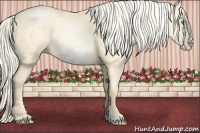 Horse Color:Palomino Pearl Dun Frame