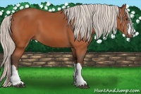 Horse Color:Silver Brown 