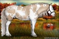 Horse Color:White Spotted Chocolate Palomino Pearl Splash 