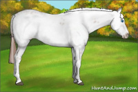 Horse Color:Liver Chestnut Frame 
