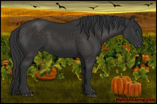 Horse Color: Liver Chestnut 