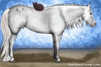 Horse Color:Silver Brown Appaloosa