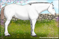 Horse Color:Liver Chestnut Frame 