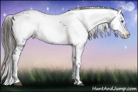 Horse Color:Liver Chestnut Frame