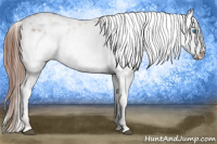 Horse Color:Liver Chestnut Frame 