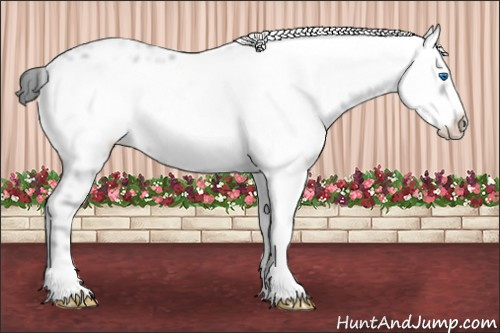 Horse Color: Black Frame 