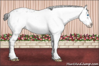 Horse Color:Black Frame