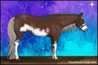 Horse Color:White Spotted Silver Brown Frame