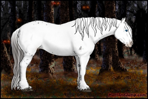 Horse Color: Liver Chestnut Frame 