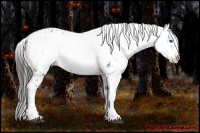 Horse Color:Liver Chestnut Frame