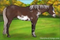 Horse Color:White Spotted Silver Brown Frame 