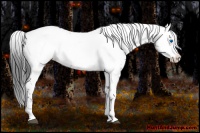 Horse Color:Black Frame 