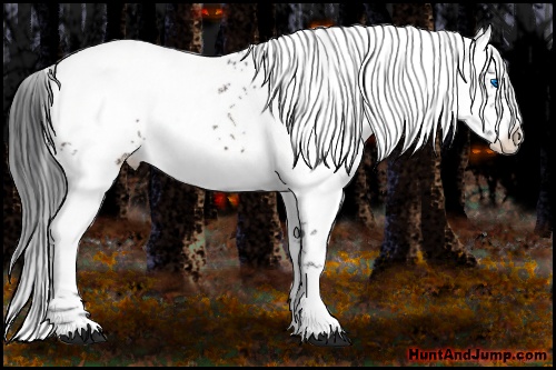 Horse Color: Brown Frame 