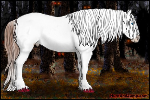 Horse Color: Liver Chestnut Frame Near Leopard 