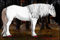 Horse Color:Liver Chestnut Frame Appaloosa 