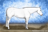 Horse Color:Plaid  Black Frame Appaloosa 