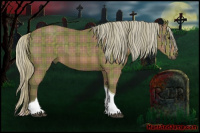 Horse Color:Plaid Silver Black Tobiano
