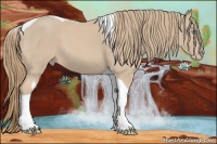 Horse Color:Smoky Creme Sabino Tobiano 