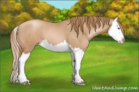 Horse Color:Chestnut Pearl Splash
