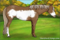 Horse Color:Chocolate Palomino Frame 