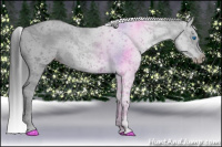 Horse Color:Black Ice Frame 