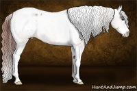 Horse Color:Classic Champagne Dun Splash Tobiano Blanket Rabicano 
