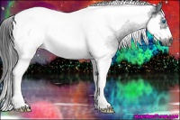 Horse Color:Black Splash Tobiano Frame 