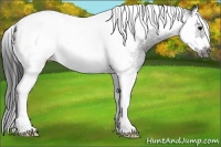 Horse Color:Black Splash Tobiano Frame 