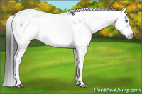 Horse Color:Black Frame 