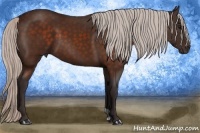 Horse Color:Silver Brown 