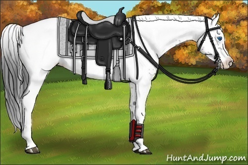 Horse Color: Black Frame 
