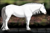 Horse Color:Liver Chestnut Frame 