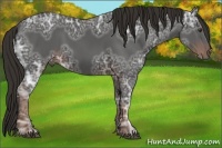 Horse Color:Liver Chestnut Ice 