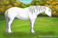 Horse Color:Black Frame