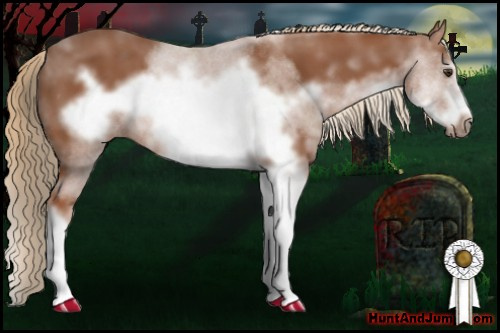 Horse Color: Liver Chestnut Sabino Frame 