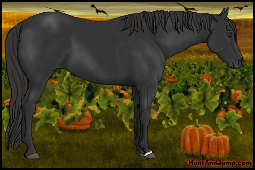 Horse Color: Liver Chestnut 