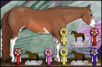 Horse Color:Liver Chestnut Sabino 